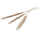 Pampas Flower sèche 150 cm Ensemble de 3 naturels