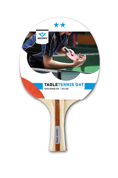 Table de tennis de table 2 étoiles