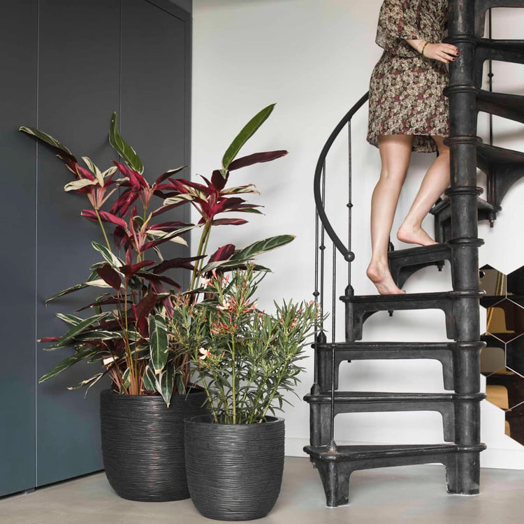 Capi Capi Flowerpot Nature Rib 35x34 cm Black Kblr932