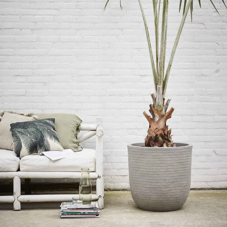 Capi Capi Flowerpot Nature Row 54x52 cm Couleur d'ivoire krwi935