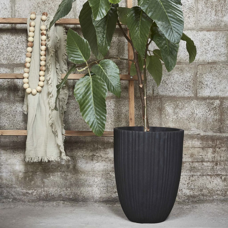Capi Capi Flowerpot tube urbain élégant bas 46x58 cm Black Kblt783