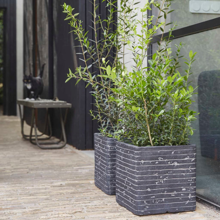 Capi Capi Planter Nature Row Square 30x30 cm anthracite krwz902