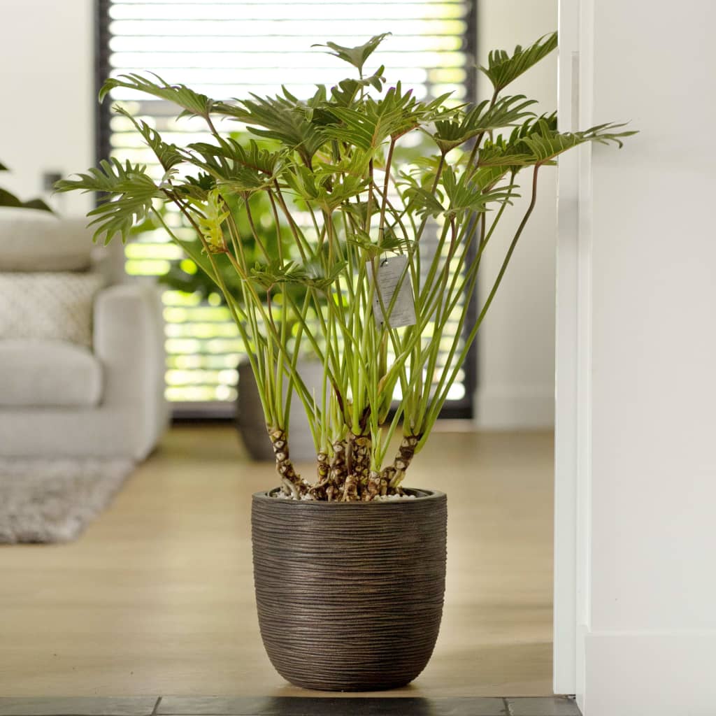 Capi Capi Planter Nature Rib 43x41 cm brun foncé