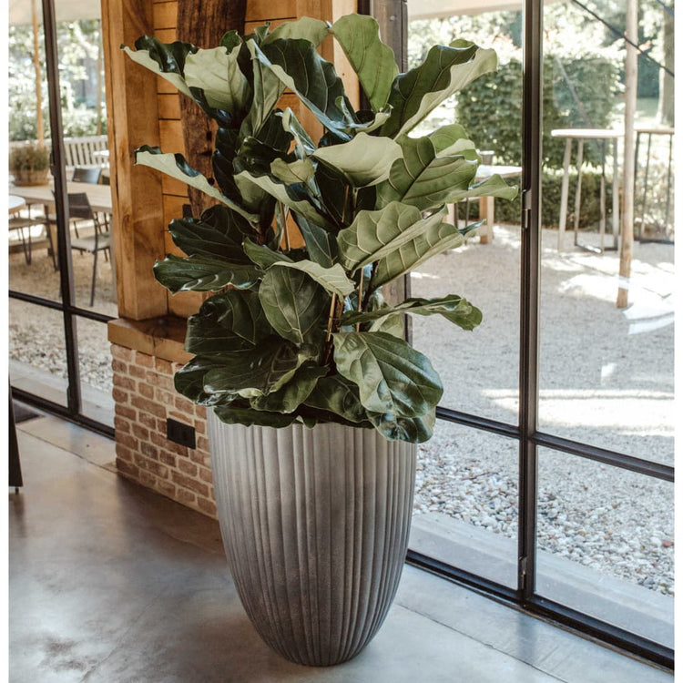 Capi Capi Flowerpot Tube urbain Couche élégante 55x73 cm Gris foncé