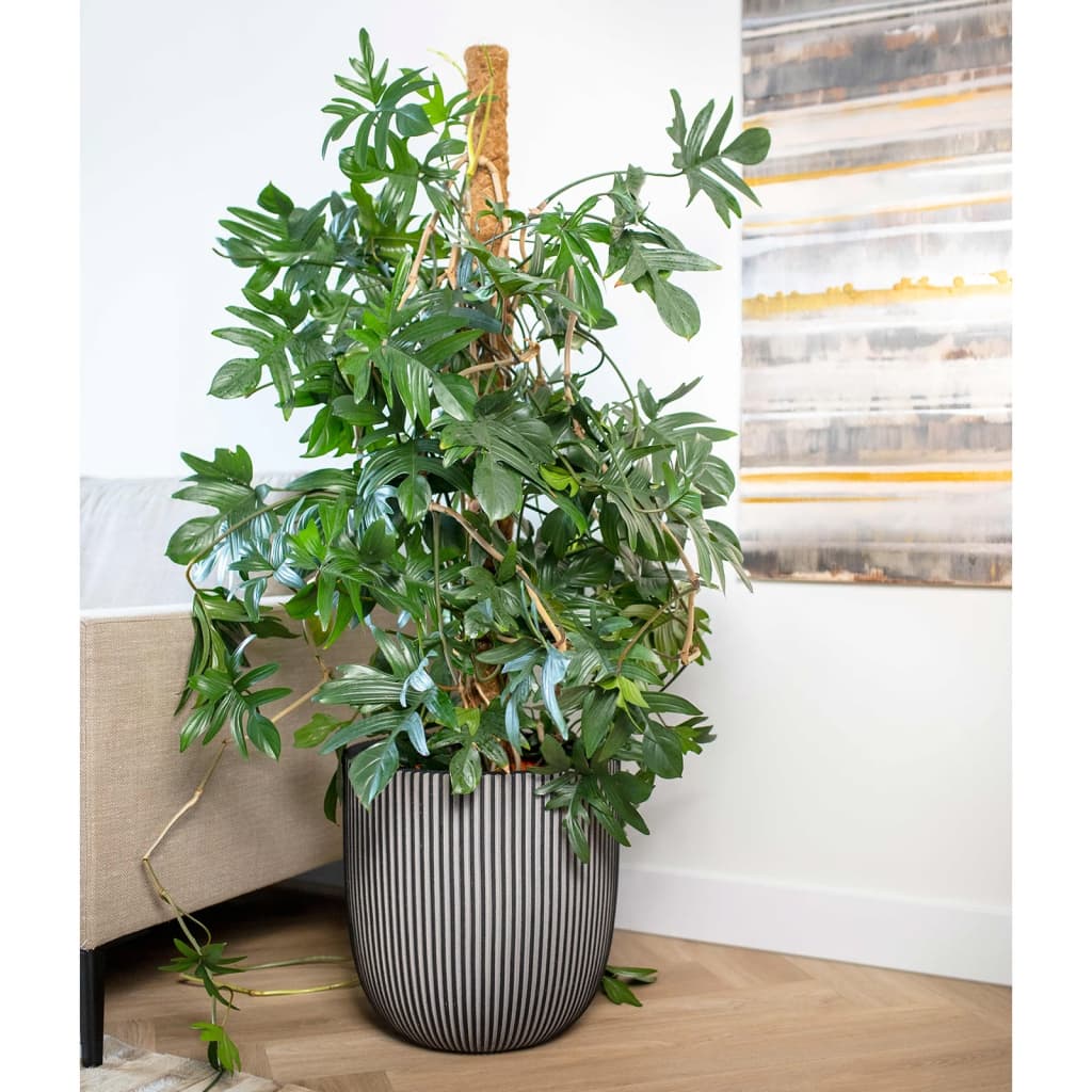 Capi Capi Planter Groove 43x41 cm anthracite -colored
