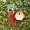 Capi Capi Vogelhuisje Hive 1 trou rond 19x23x20 cm brun