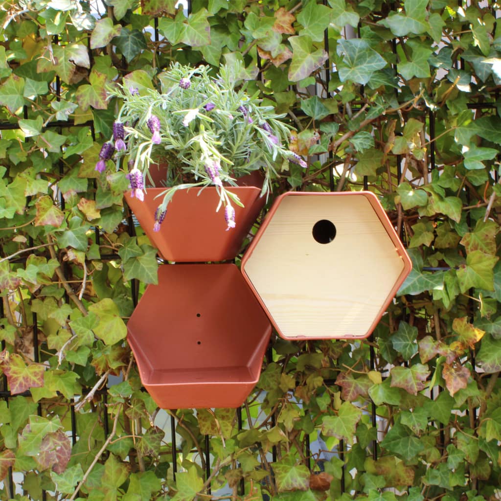 Capi Capi Vogelhuisje Hive 1 trou rond 19x23x20 cm brun