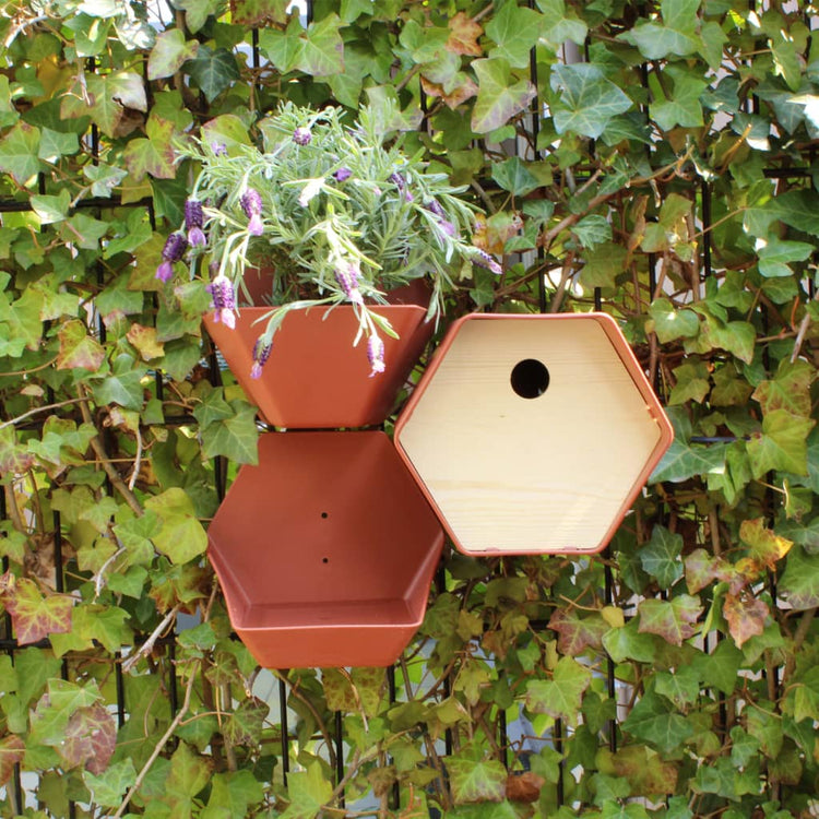 Capi Capi Vogelhuisje Hive 1 trou rond 19x23x20 cm brun