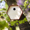 Capi Capi Vogelhuisje Hive 1 trou rond 19x23x20 cm brun