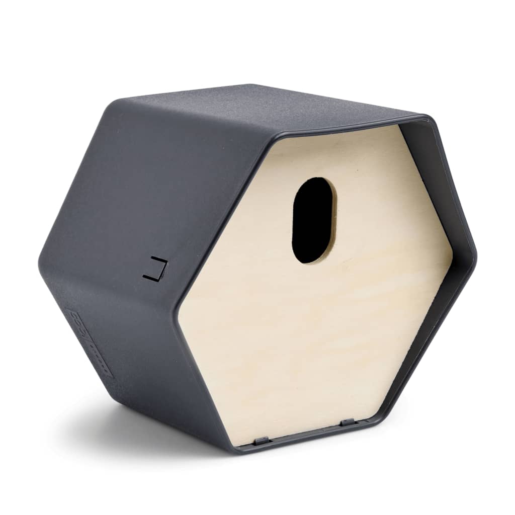 Capi Capi Vogelhuisje Hive 2 Trou ovale 19x23x20 cm coloré d'anthracite