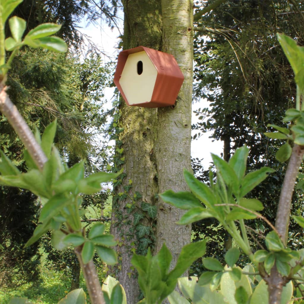 Capi Capi Vogelhuisje Hive 2 Trou ovale 19x23x20 cm brun