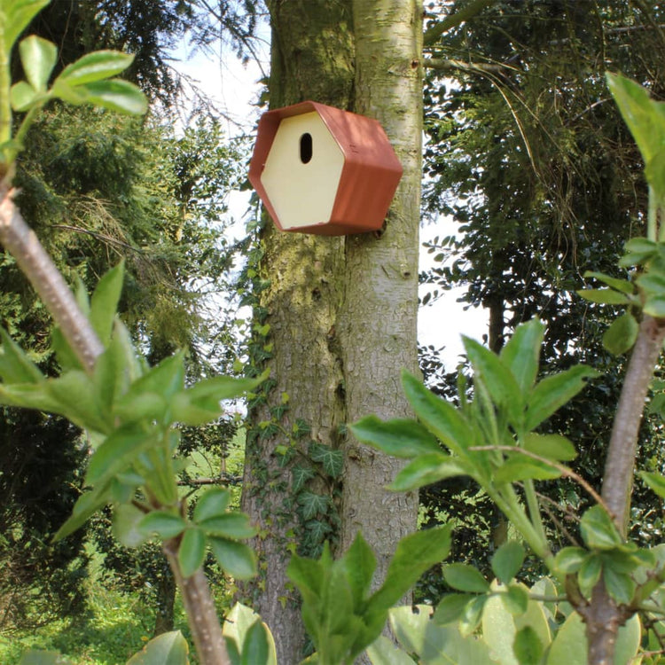 Capi Capi Vogelhuisje Hive 2 Trou ovale 19x23x20 cm brun