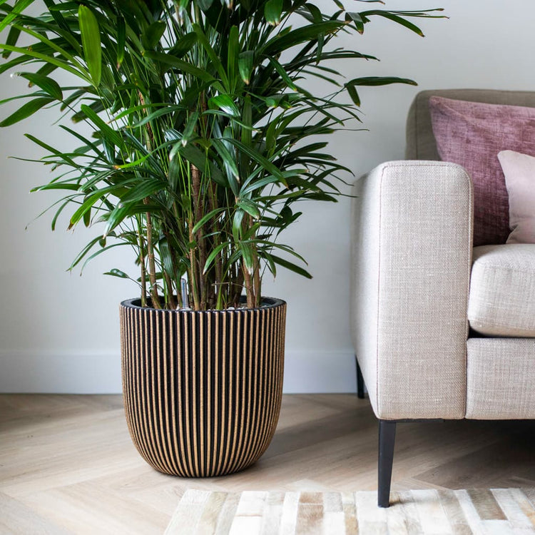 Capi Capi Planter Groove 43x41 cm noir et or de couleur
