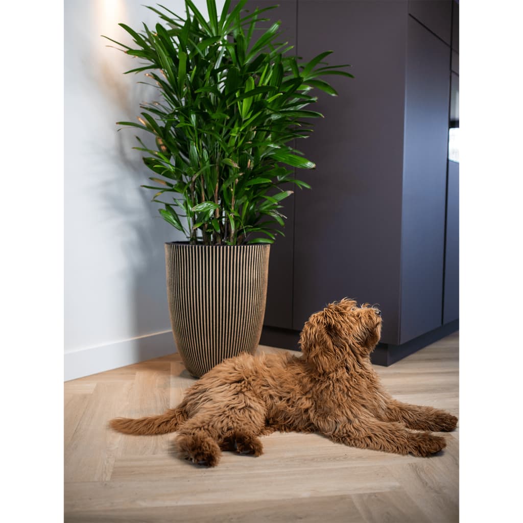 Capi Capi Flowerpot Groove élégant 34x46 cm noir et or de couleur