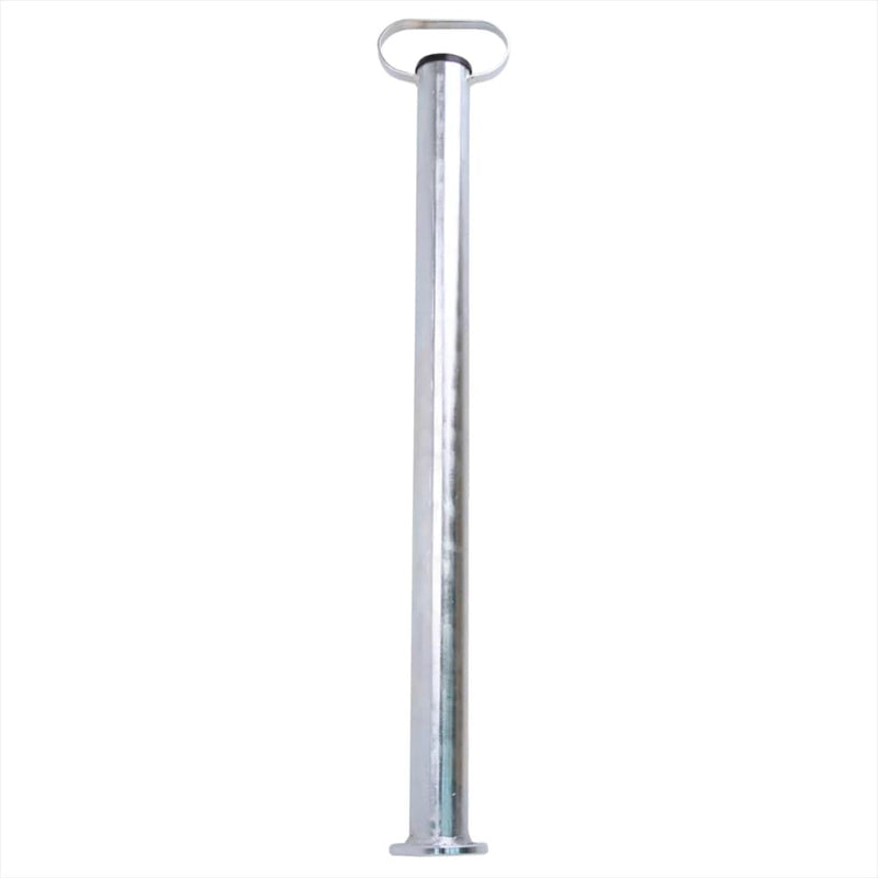 Standard de la remorque Proplus D48 mm 70 cm 341516