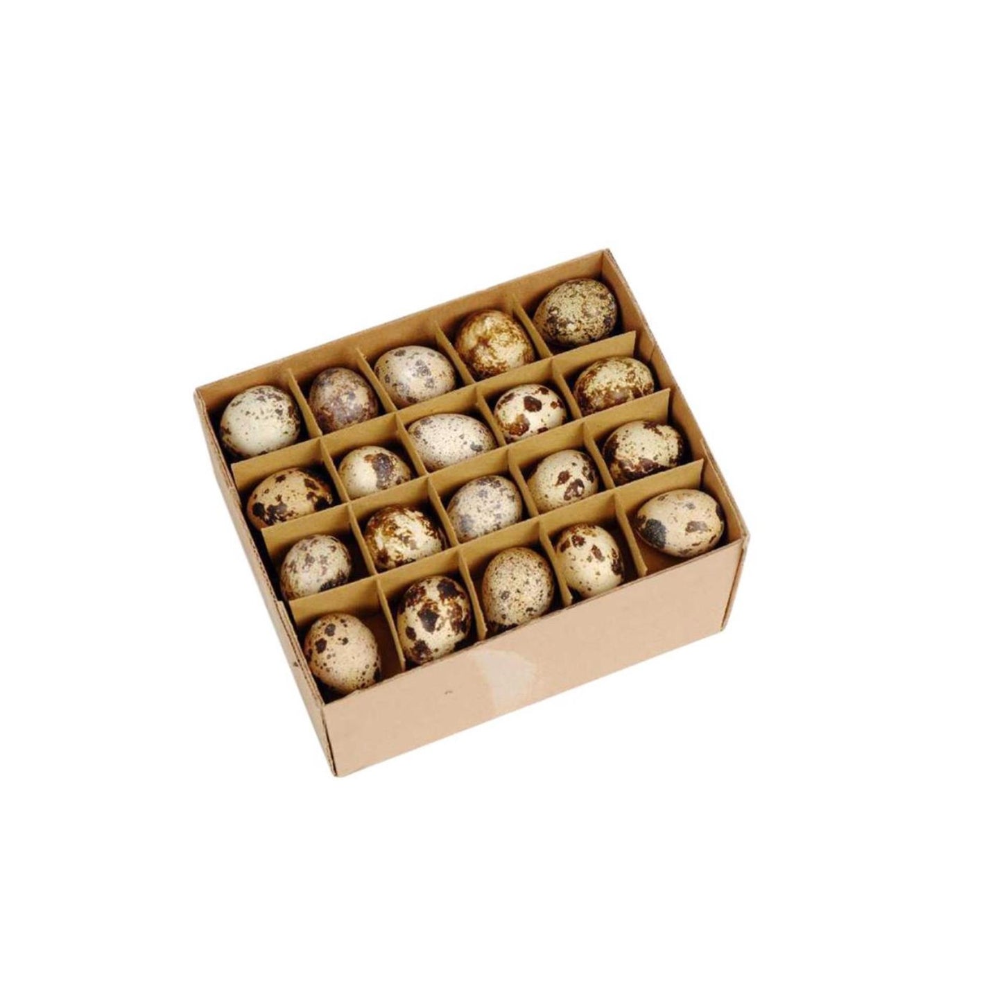 HBx œufs de caille vivants naturels boîte de 60 pièces