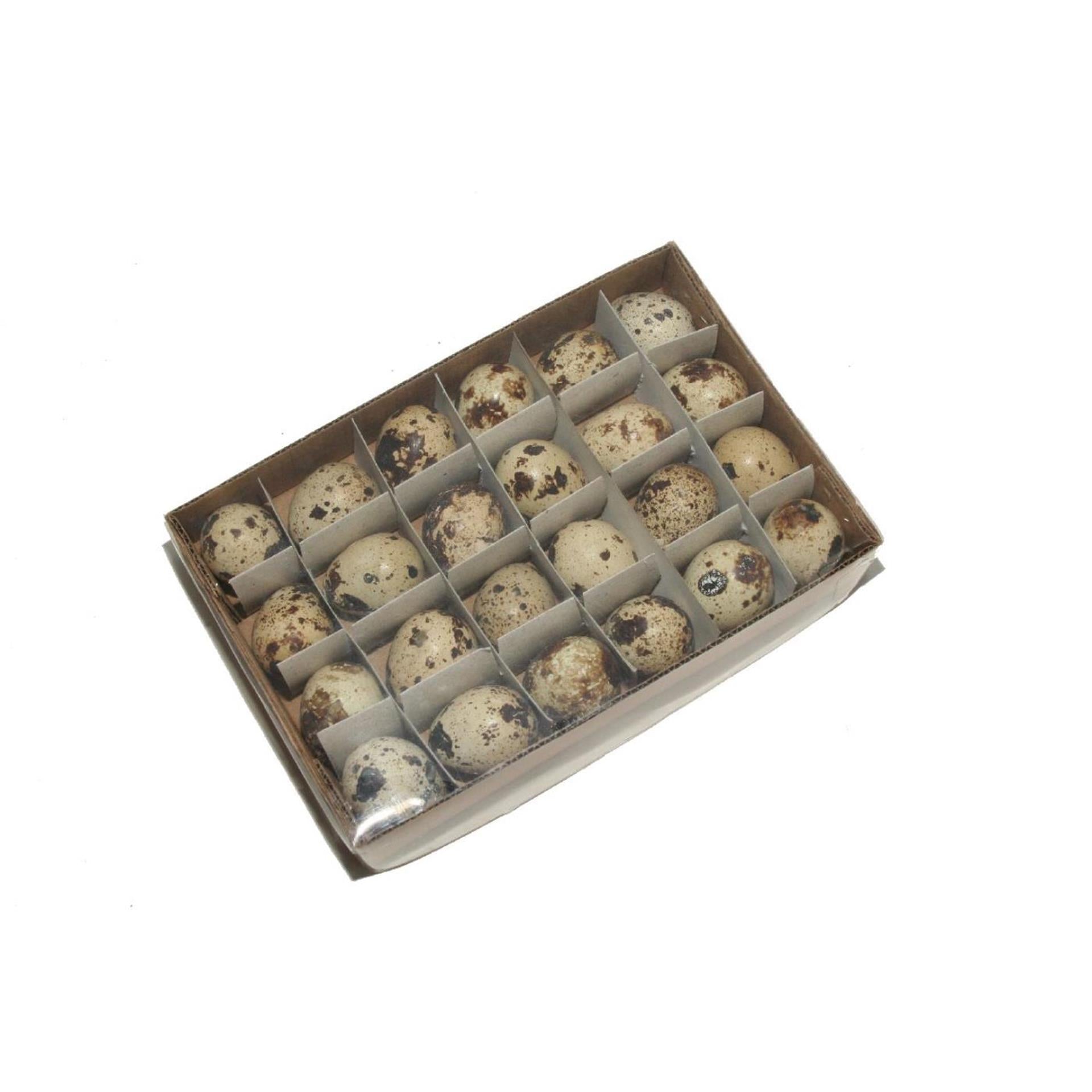HBx œufs de caille vivants naturels boîte de 24 pièces