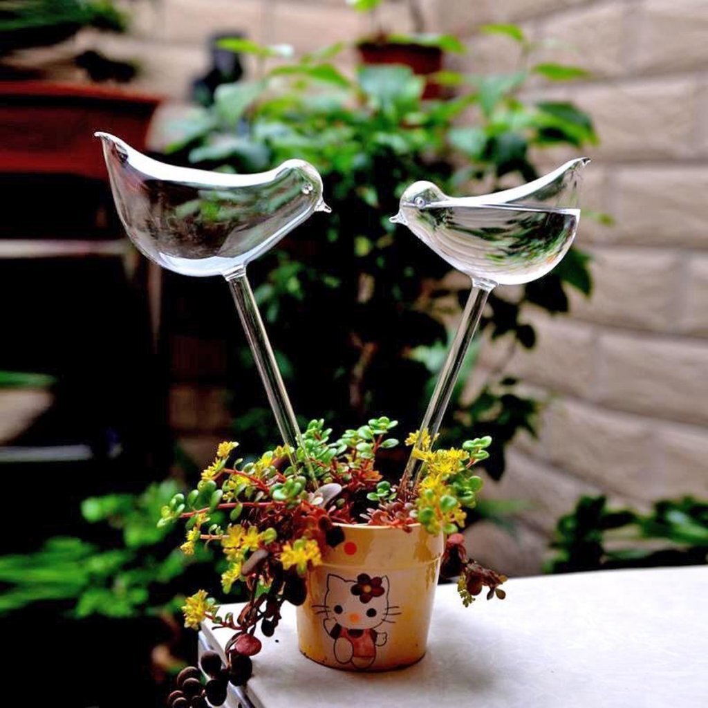 Distributeur d'eau en verre autres marques oiseau 2 pièces