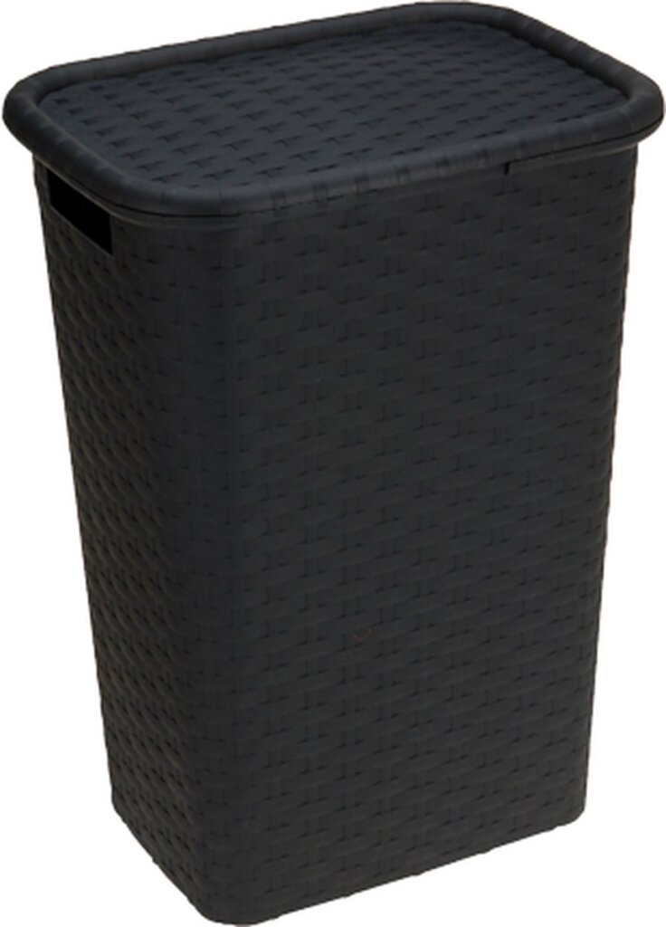Panier à linge divers avec couvercle 60L anthracite rectangulaire