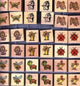 Timbres Dsp animaux carrés (36 pcs cul)
