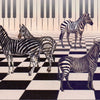 Carte postale illustrée cd03 : piano zèbre 6 pcs
