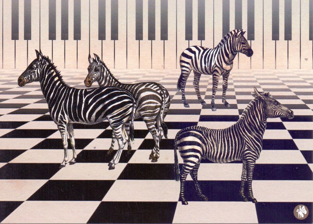 Carte postale illustrée cd03 : piano zèbre 6 pcs