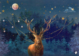 Carte postale illustrée CD10 : Noël dee 6 pcs - afbeelding 1