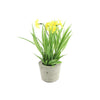 Countryfield plante artificielle narcisse jaune l10w10h21cm