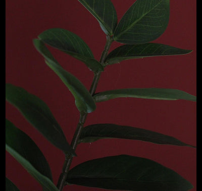 Plante artificielle Countryfield verte 48x44x65cm