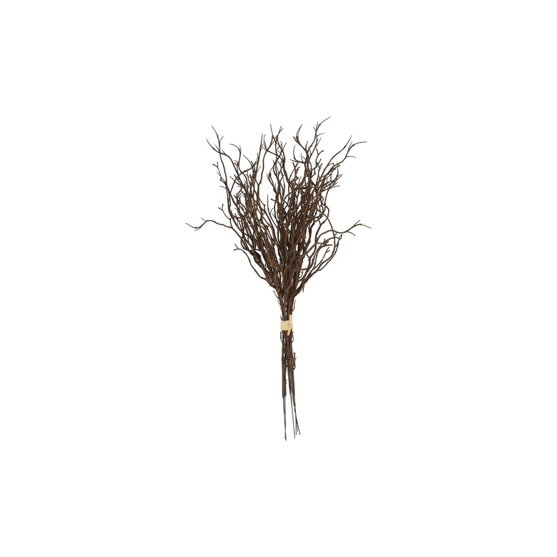 Countryfield myrica*6 marron l9w9h47cm