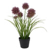 Countryfield plante artificielle allium h60cm