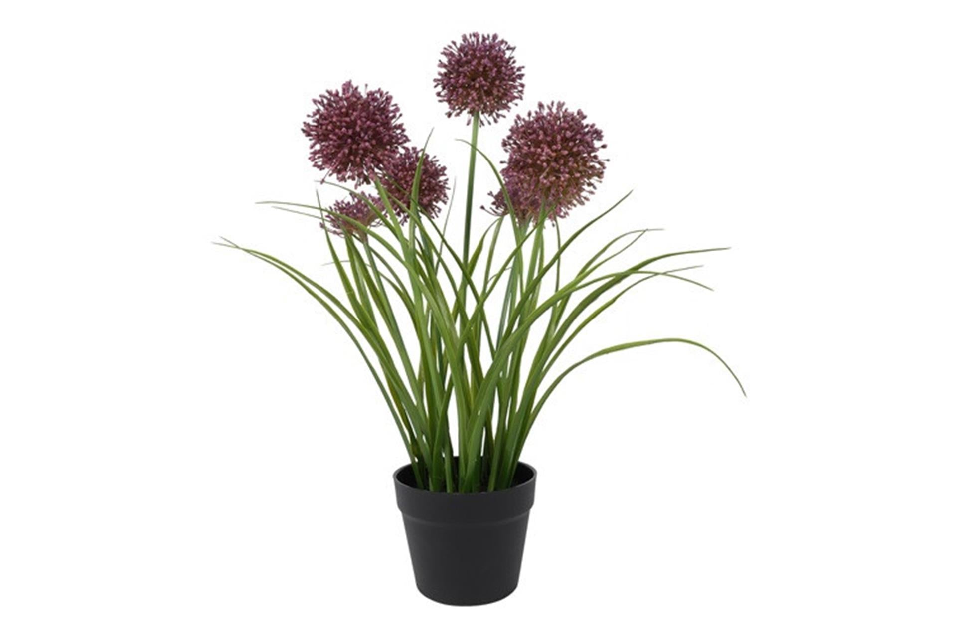Countryfield plante artificielle allium h60cm