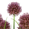 Countryfield plante artificielle allium h60cm
