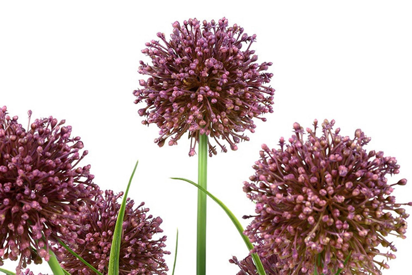 Countryfield plante artificielle allium h60cm