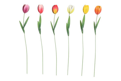 Bouchon de jardin Countryfield tulipa h60cm