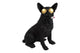 Countryfield bouledogue dex noir h43,5cm