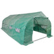 Vidaxl Tuinkas Walk-In Polytunnel portable avec cadre en acier 18 m²