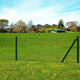 Vidaxl hek 25x1,2 m en acier vert