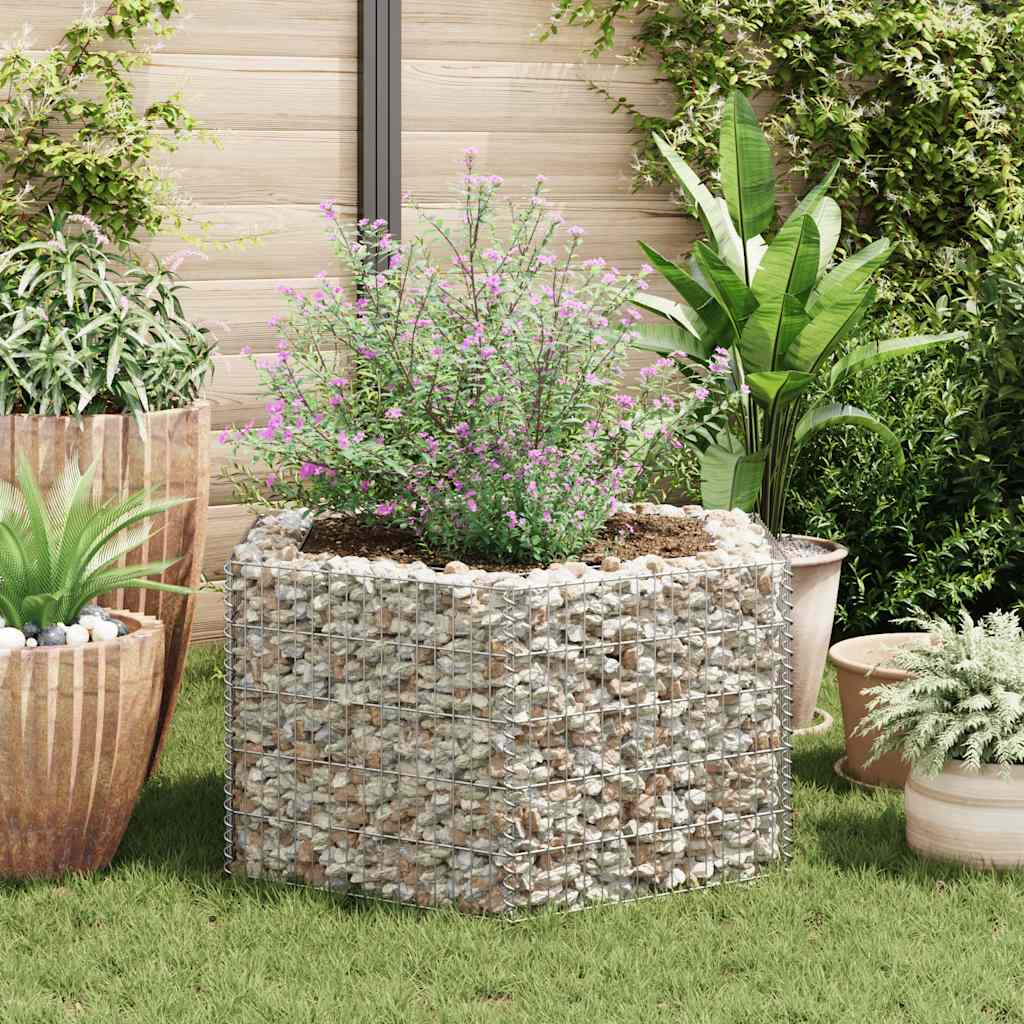 Vidaxl Gabion Planter Insentement Hexagonal 100x90x50 cm
