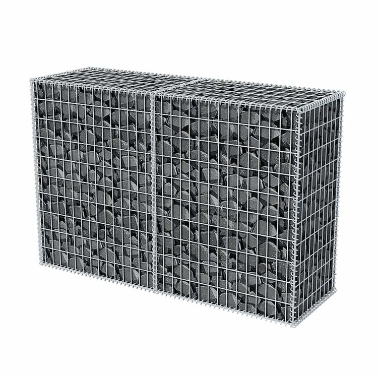 Vidaxl Gabion Panier 150x50x100 cm en acier galvanisé