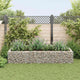 Boîte de planification de Vidaxl Gabion a augmenté de 270x90x50 cm en acier