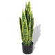 Vidaxl Art Sanseveria Plant avec du pot 65 cm vert
