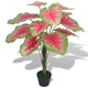 Vidaxl Caladium de plante artificielle avec pot 85 cm vert et rouge