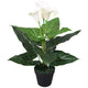 Vidaxl Art Calla Lelie Plant avec du pot 45 cm blanc