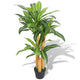 Vidaxl Art Dracena Plant avec pot 100 cm vert