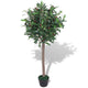 Vidaxl Art Laurier Tree Plantes avec Pot 120 cm vert