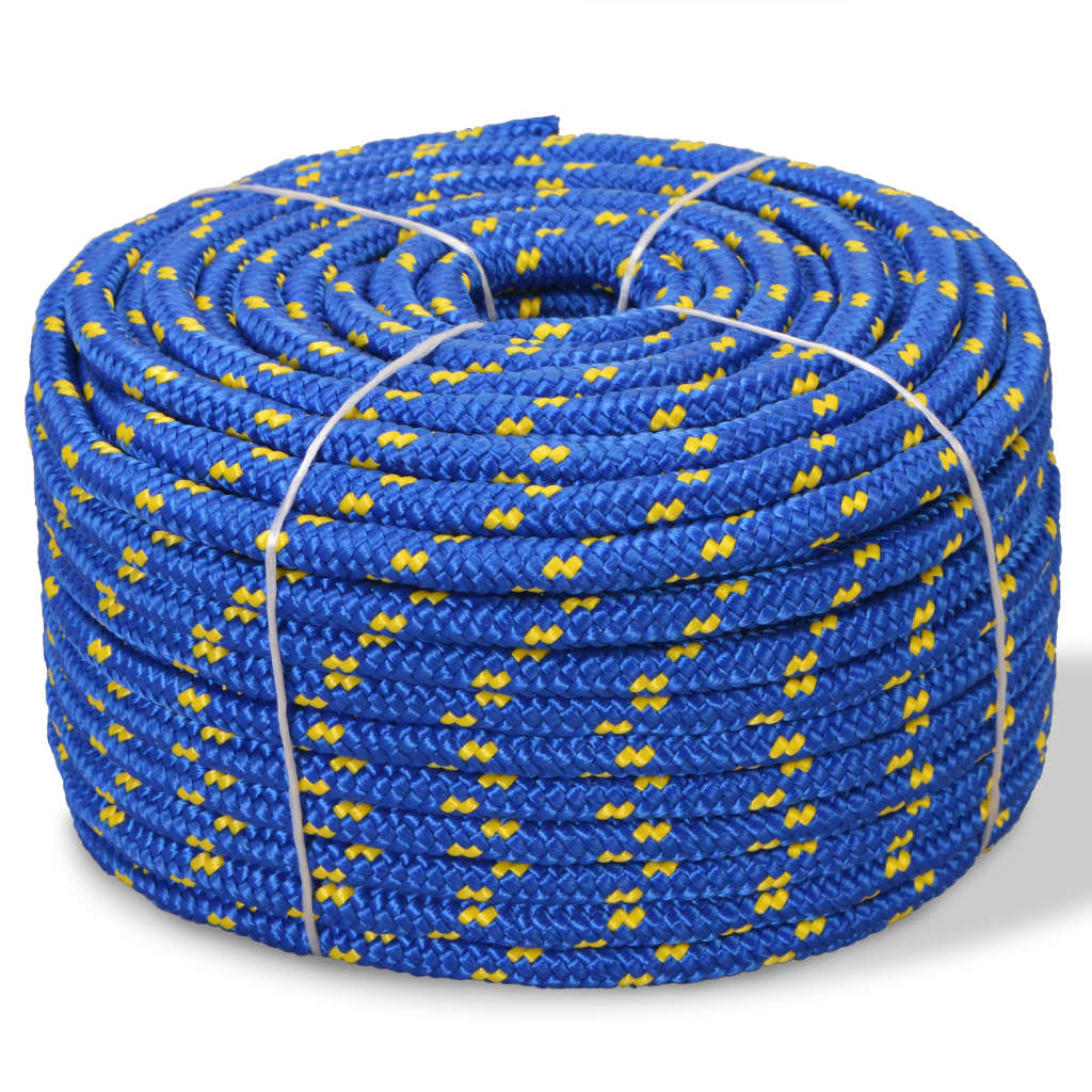 Corde à démarrage Vidaxl 8 mm 100 m en bleu de polypropylène