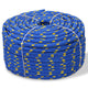 Corde à démarrage Vidaxl 8 mm 100 m en bleu de polypropylène