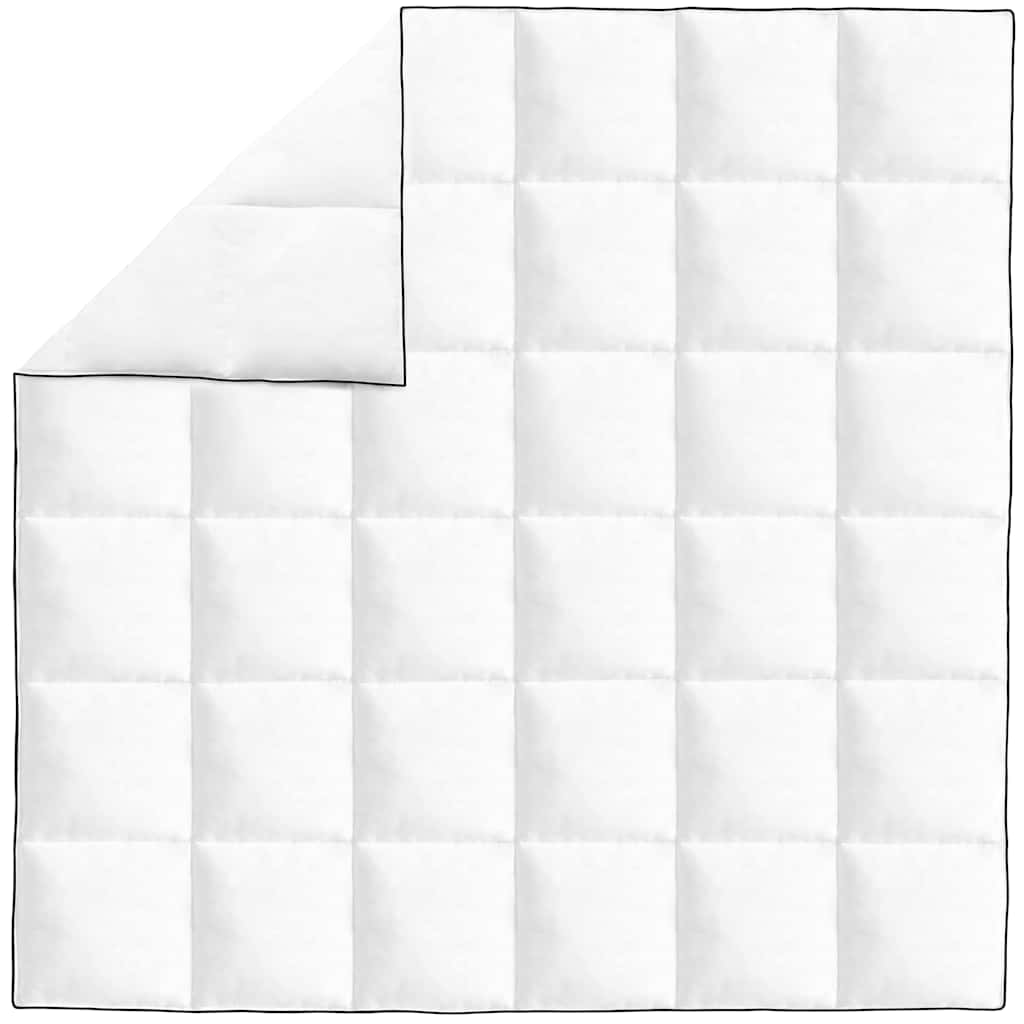 Vidaxl hiver pays 200x200 cm dons