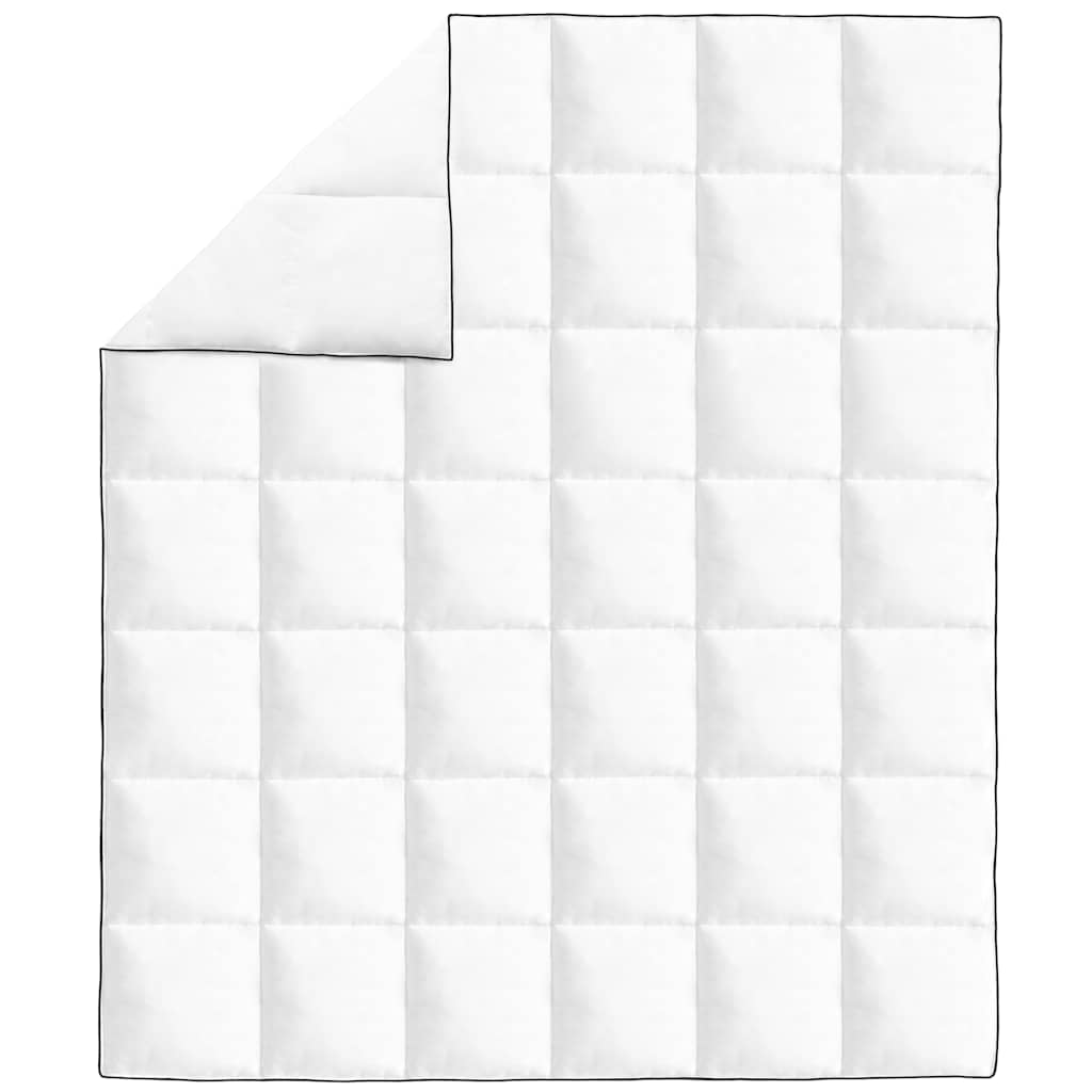 Vidaxl hiver pays 200x220 cm dons